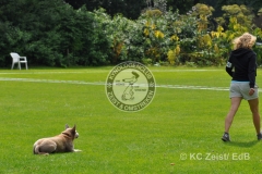 FCI_Obedience_KC_Zeist_2015 (238)