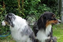 FCI_Obedience_KC_Zeist_2015 (241)