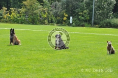 FCI_Obedience_KC_Zeist_2015 (243)