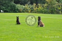 FCI_Obedience_KC_Zeist_2015 (244)