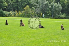 FCI_Obedience_KC_Zeist_2015 (245)