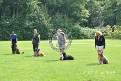FCI_Obedience_KC_Zeist_2015 (246)