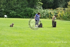 FCI_Obedience_KC_Zeist_2015 (248)