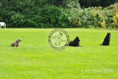 FCI_Obedience_KC_Zeist_2015 (249)