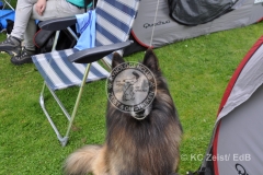 FCI_Obedience_KC_Zeist_2015 (251)