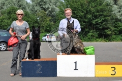 FCI_Obedience_KC_Zeist_2015 (259)