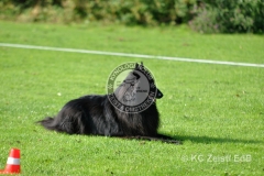 FCI_Obedience_KC_Zeist_2015 (26)