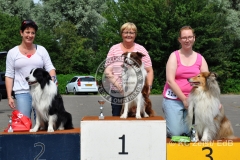 FCI_Obedience_KC_Zeist_2015 (260)