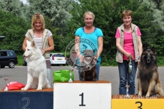 FCI_Obedience_KC_Zeist_2015 (261)