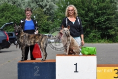 FCI_Obedience_KC_Zeist_2015 (262)