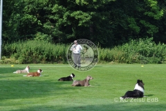 FCI_Obedience_KC_Zeist_2015 (30)