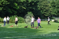 FCI_Obedience_KC_Zeist_2015 (31)