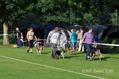 FCI_Obedience_KC_Zeist_2015 (33)