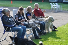 FCI_Obedience_KC_Zeist_2015 (34)