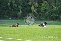 FCI_Obedience_KC_Zeist_2015 (36)