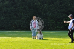 FCI_Obedience_KC_Zeist_2015 (39)