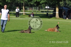 FCI_Obedience_KC_Zeist_2015 (45)