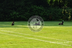 FCI_Obedience_KC_Zeist_2015 (9)