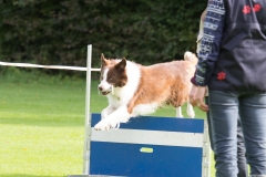 IMG_6608_bewerkt-1