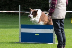 IMG_6610_bewerkt-1