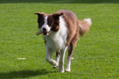 IMG_6622_bewerkt-1