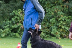 IMG_6631_bewerkt-1