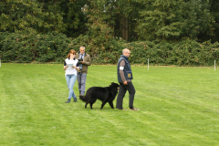 IMG_8493