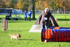 kczeist_nov13019