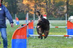 dsc_5176_49049134881_o