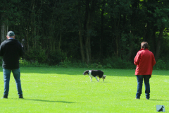 Obidience_selectiewedstrijd_10