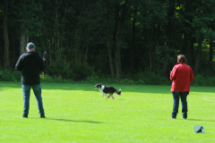 Obidience_selectiewedstrijd_11