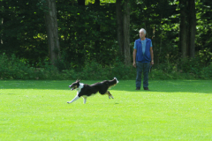 Obidience_selectiewedstrijd_12