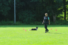 Obidience_selectiewedstrijd_15