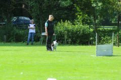 Obidience_selectiewedstrijd_16