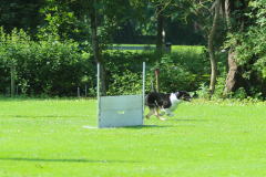 Obidience_selectiewedstrijd_17