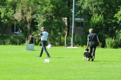 Obidience_selectiewedstrijd_6