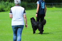 Obidience_selectiewedstrijd_62