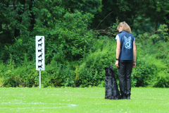 Obidience_selectiewedstrijd_64