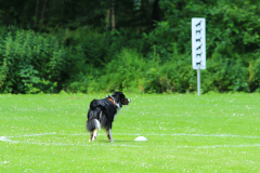 Obidience_selectiewedstrijd_66