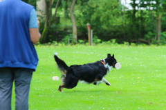 Obidience_selectiewedstrijd_67