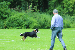 Obidience_selectiewedstrijd_69