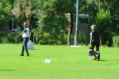 Obidience_selectiewedstrijd_7