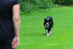 Obidience_selectiewedstrijd_75