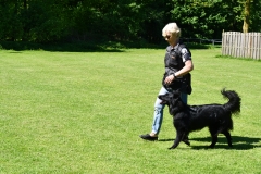 2018 05 05 Workshop Emanuel Hetych KC Zeist (12)
