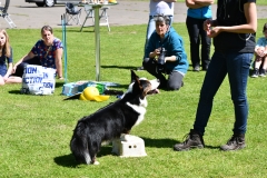 2018 05 05 Workshop Emanuel Hetych KC Zeist (37)