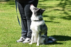 2018 05 05 Workshop Emanuel Hetych KC Zeist (51)