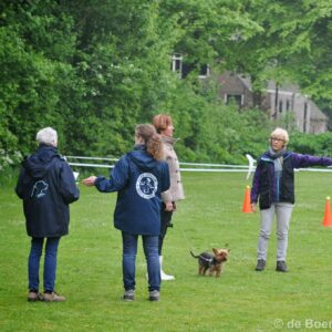 Gehoorzame Hond 1