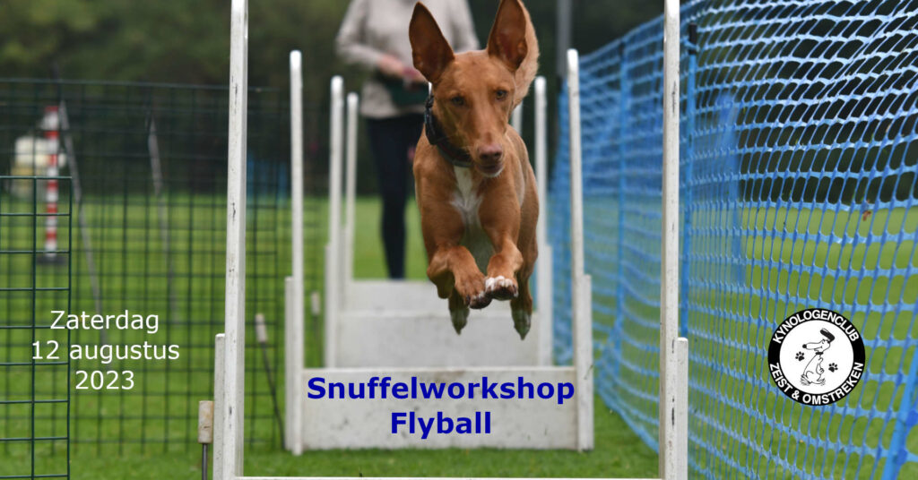 Snuffelworkshop Flyball op 12 augustus
